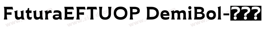FuturaEFTUOP DemiBol字体转换